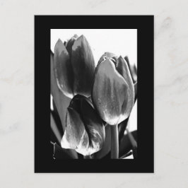 vykort-Blommor-64 Vykort