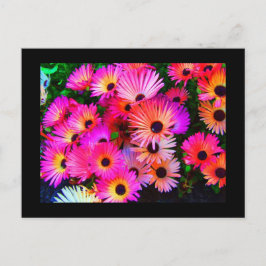 vykort-Blommor-68 Vykort