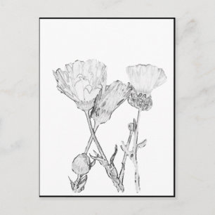 Vykort - Blommor att färglägga