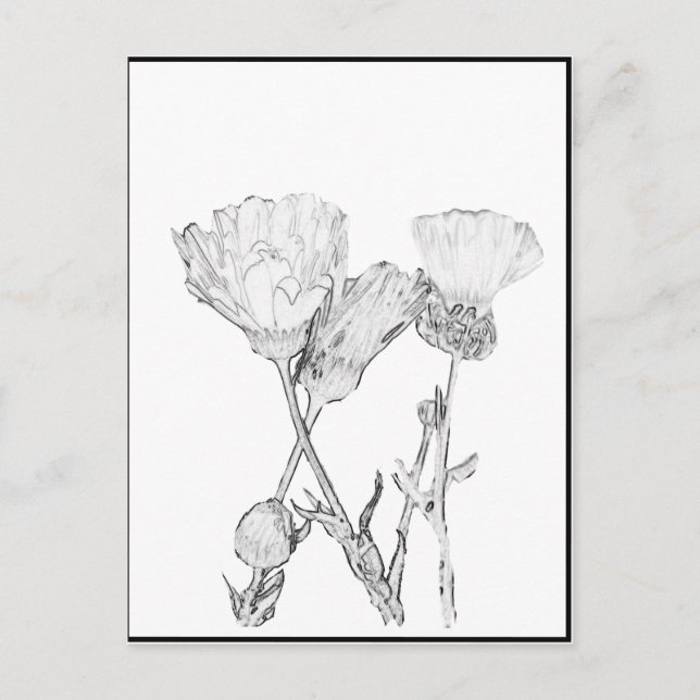 Vykort - Blommor att färglägga (Framsida)