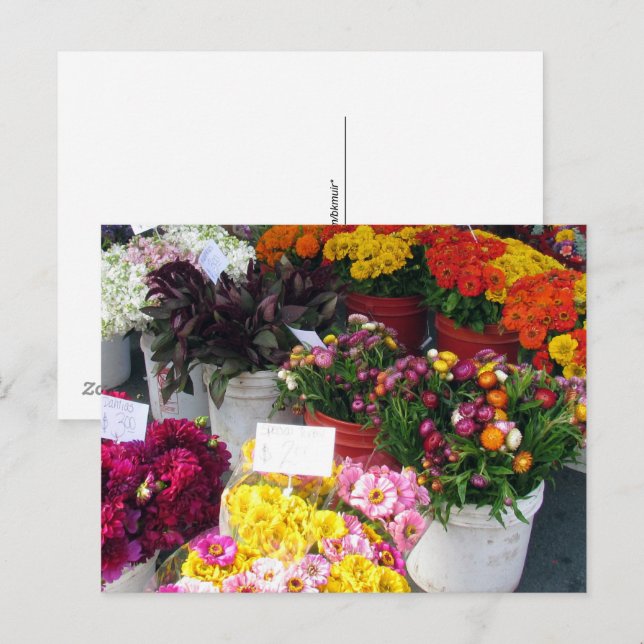 Vykort – Blomstermarknad (Fram/baksida)