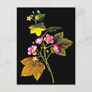 vykort - Botaniskt Art-Mary Delany 4