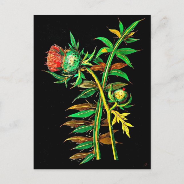 vykort - Botaniskt Art-Mary Delany 6 (Framsida)