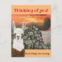 Vykort. Bra saker är på väg Mama Llama Postc Vykort