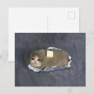 Vykort Butta Katt Meme