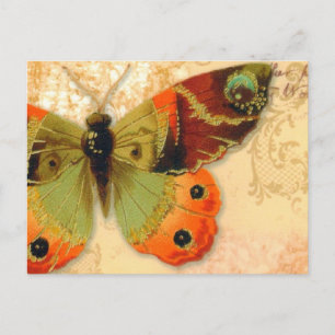 Vykort    "Butterfly"