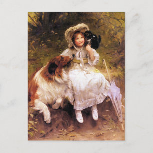 vykort: Collie Hund, Girl and Cat Vykort