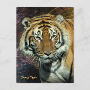 vykort: Cosmic Tiger (Porträtt) Vykort