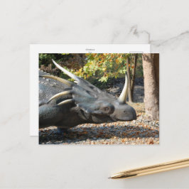vykort _ dinosaur _ triceratops