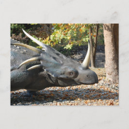 vykort _ dinosaur _ triceratops