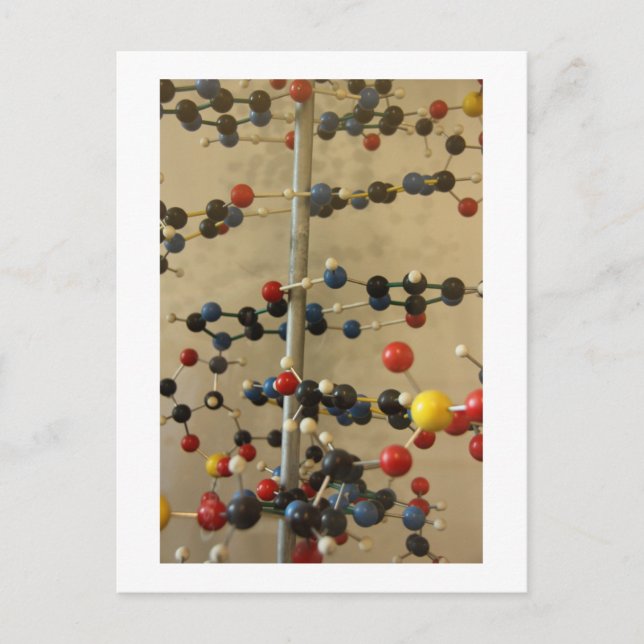 Vykort DNA-modell (Framsida)