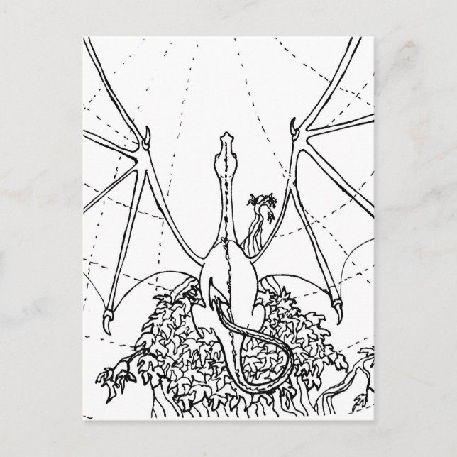 Vykort - Drakvingar (Framsida)