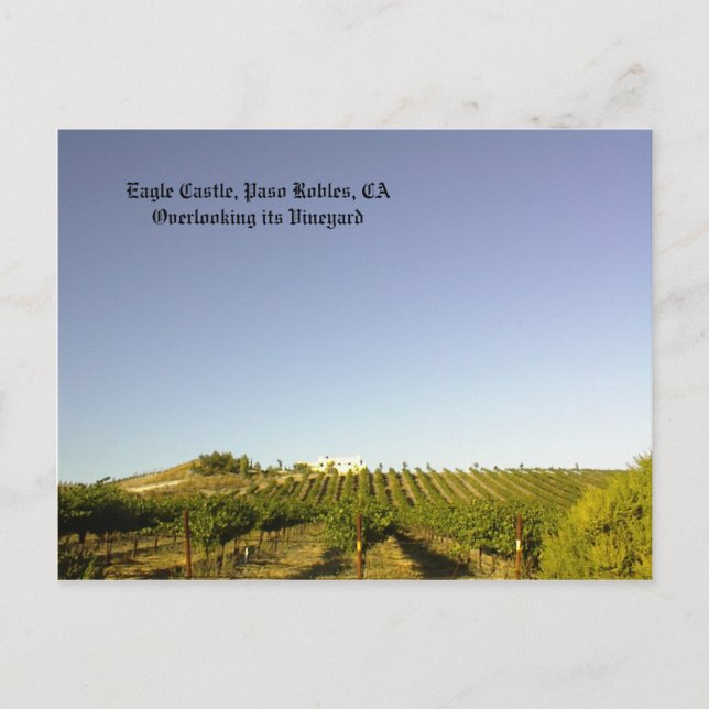Vykort: Eagle Castle med vingård i förgrunden Vykort (Framsida)