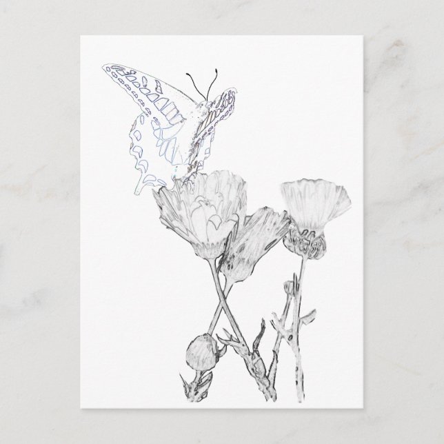 Vykort - Fjäril och blommor att färglägga (Framsida)
