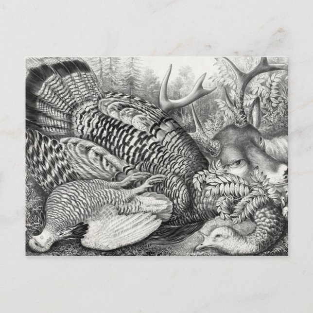 vykort för "American Forest Game" (Framsida)