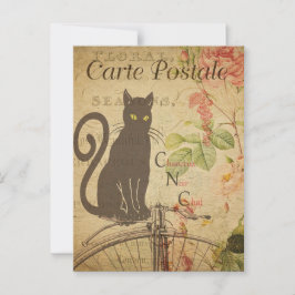 Vykort för Antique Fransk Kattunge