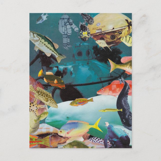 vykort för Aqua Äventyr (Framsida)