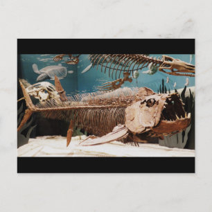 vykort för Aquatic Dino