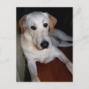 vykort för arbetskraft