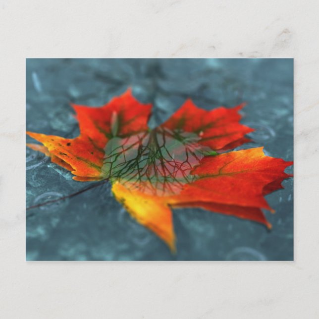 vykort för återreflexion (Framsida)