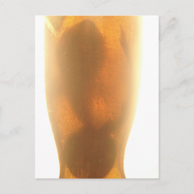 vykort för baby-hak (Framsida)