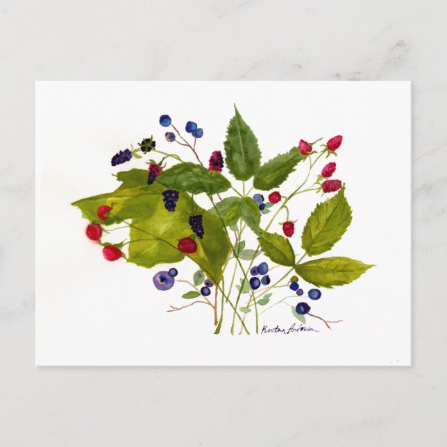 vykort för bär (Framsida)