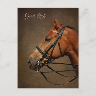 vykort för Bay Horse and Bridle Lycka till