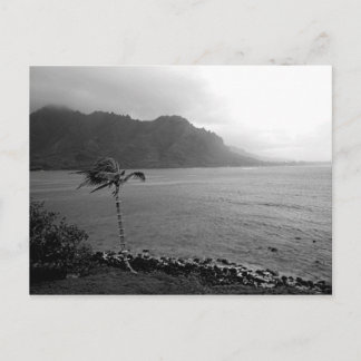 vykort för "Beach Front"