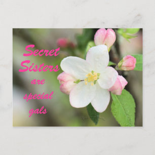 Vykort för Blommar av Secret Sister Apple - anpass