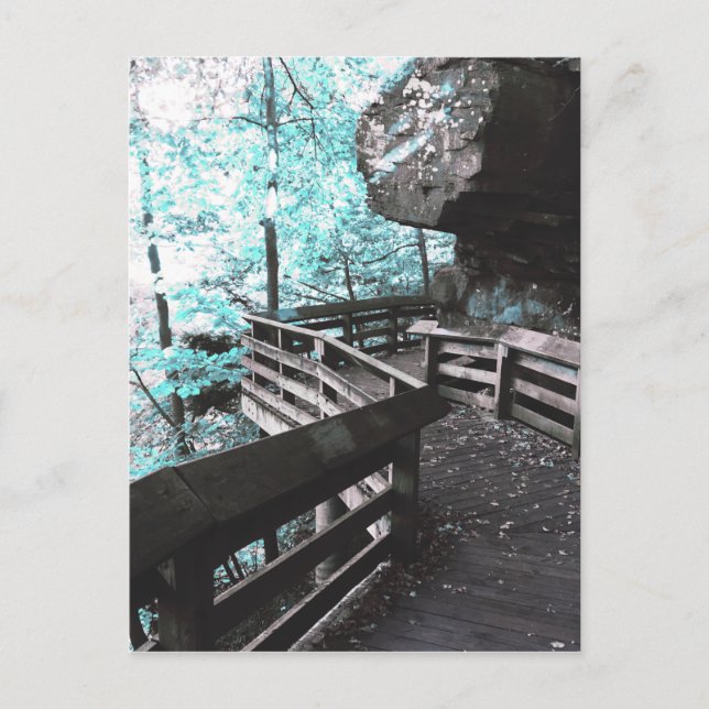 vykort för brandywine-promenader (Framsida)