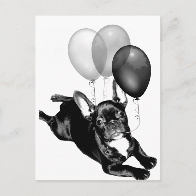 vykort för bulldog-Fransk i party (Framsida)