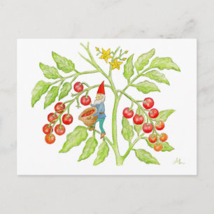 vykort för Cherry Tomato Gnome