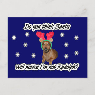 vykort för Dachshund Reindeer