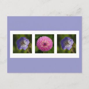 vykort för Dahlia och Geranium