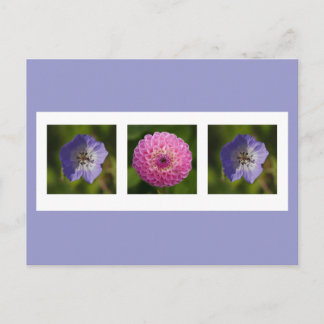 vykort för Dahlia och Geranium