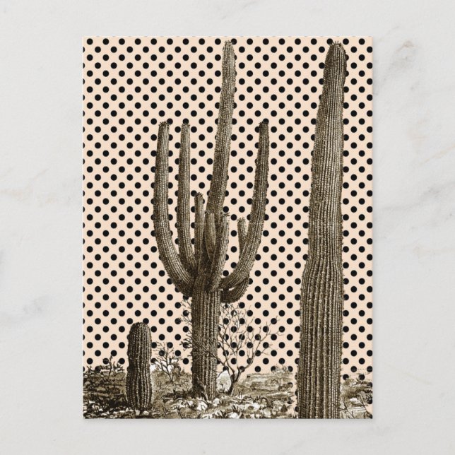 vykort för Desert diva (Framsida)