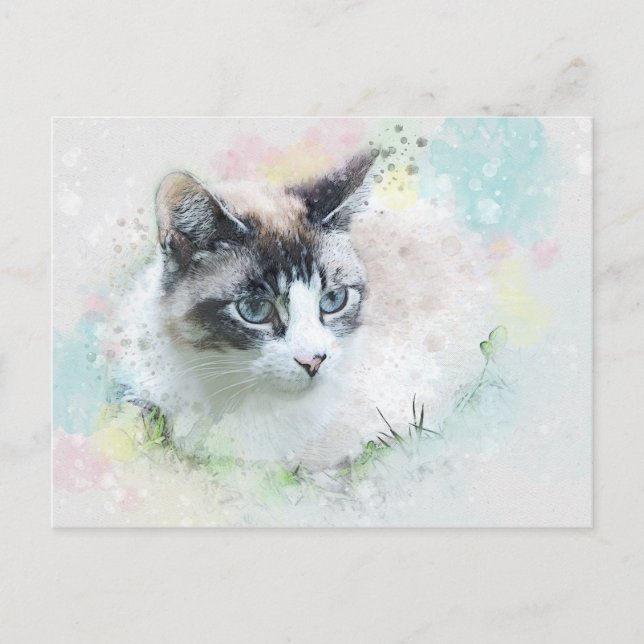 vykort för drömkatt (Framsida)