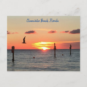 Vykort för ett Clearwater Beach sunset