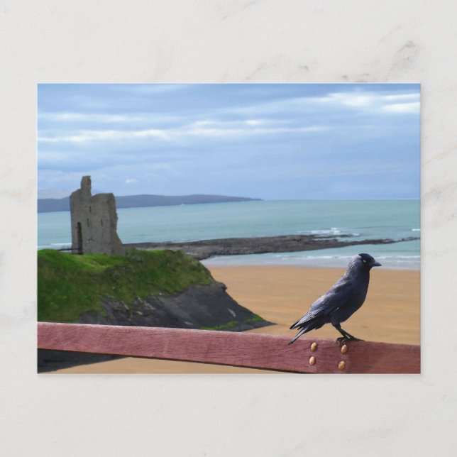 vykort för fågel öga (Framsida)