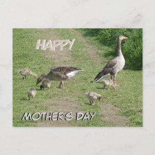 vykort för familjen Lycklig Mors dag