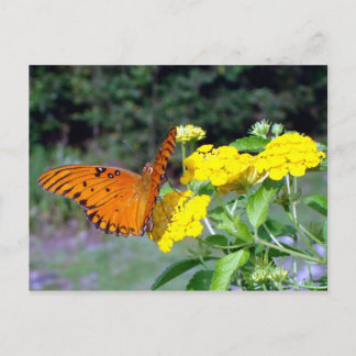 Vykort för fjäril