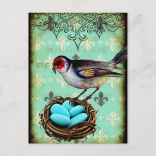 vykort för Fleur Di Lis Bird Nest Shabby chic