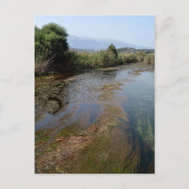 vykort för flodscen (Framsida)