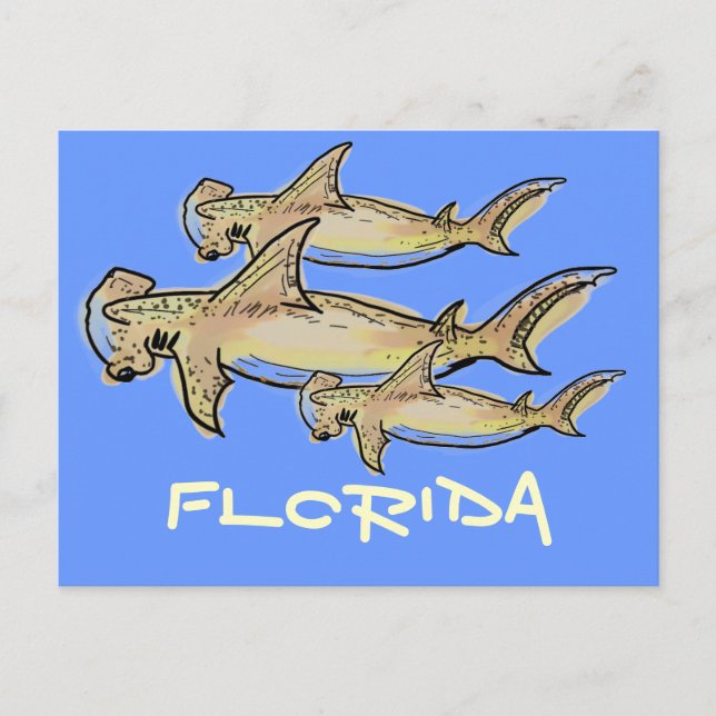 vykort för Florida hammerhead-hajar (Framsida)