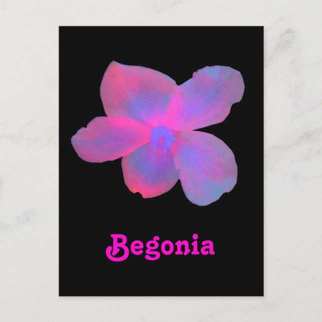 Vykort för fluorescent Begonia-Anpassade (Framsida)