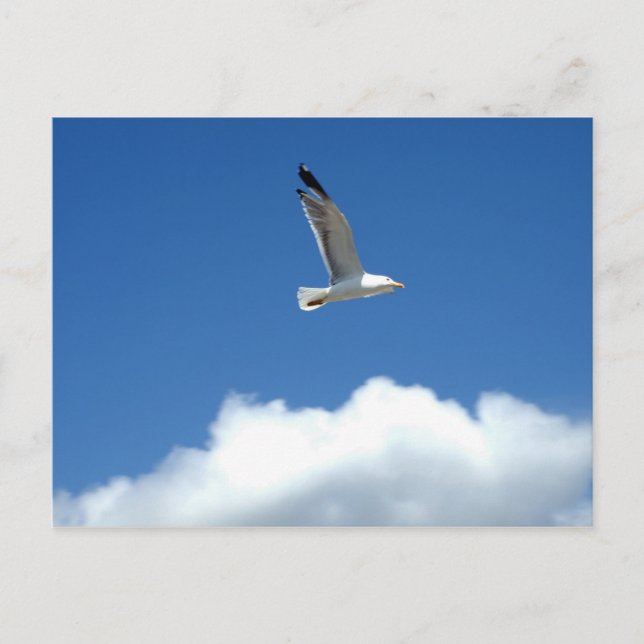 Vykort för flygande Ensam (Framsida)