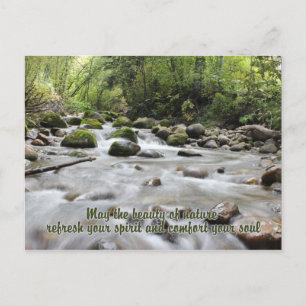 vykort för Forest Stream
