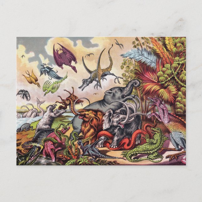 Vykort för förhistorisk spelare (Framsida)