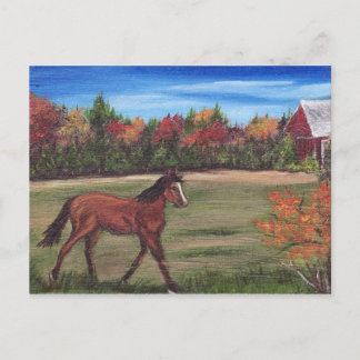 Vykort för Frihet Springa