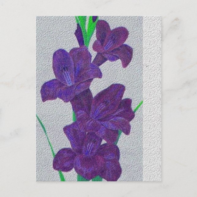 vykort för gladiolus (Framsida)